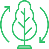 Biogas to Electricity