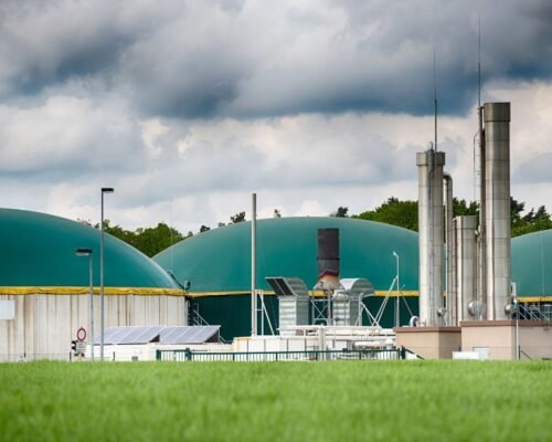 biomass ft biomass ft